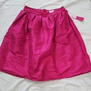 Vibrant Pink A-Line Skirt